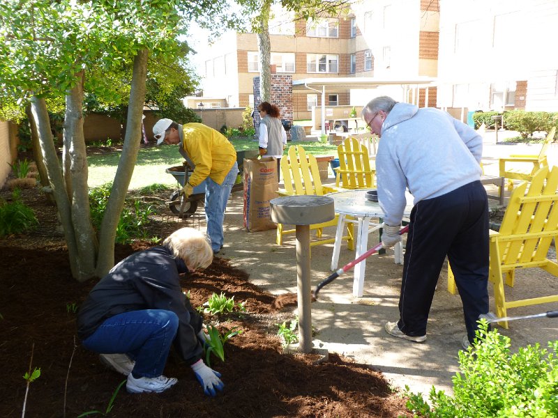 VA Garden April 2013 050